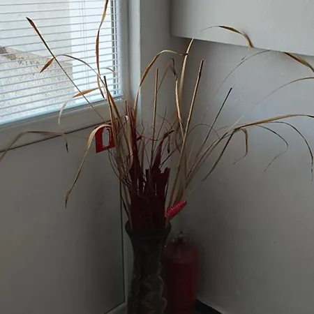 Апартамент студио странджа - граматиково